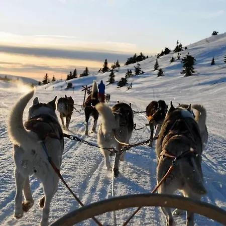 Northern Sky View With Free Parking *