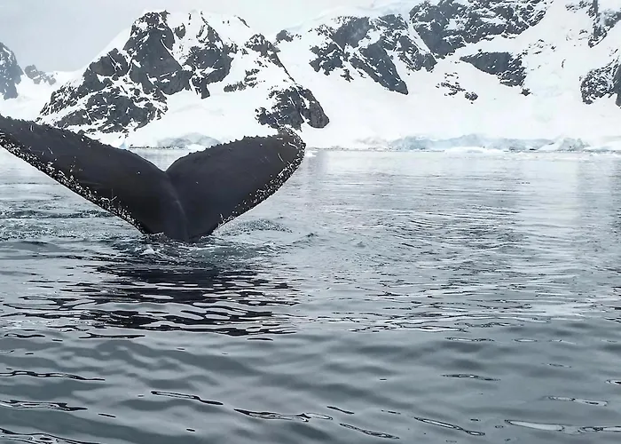 Northern Sky View With Free Parking *